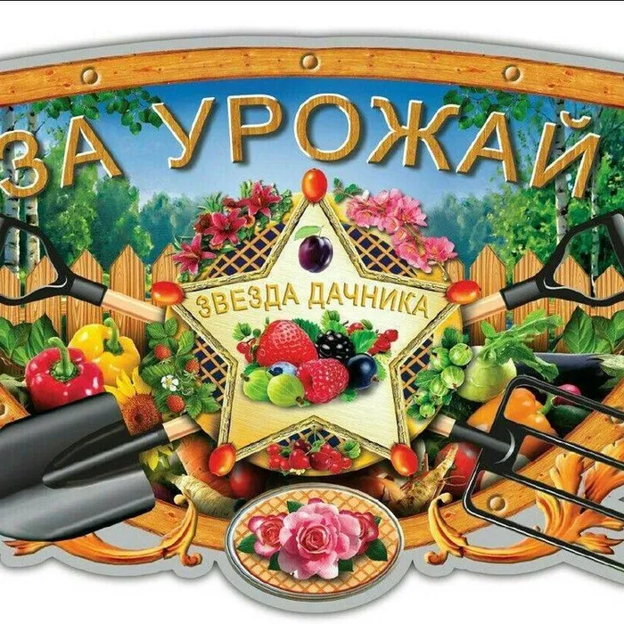 "Во саду ли, В огороде..."