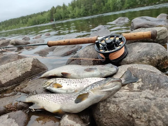 _CC79zKQOmuGKAzMolEFNtlFgVJkr7PS8ThZyy0Reh5crOmH8R7rXxUbuZ7DLubjZNlWuCPMHijO7wtBRv-lv2xQ