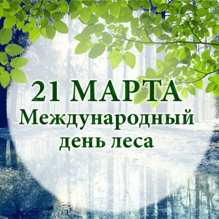 Международный день леса